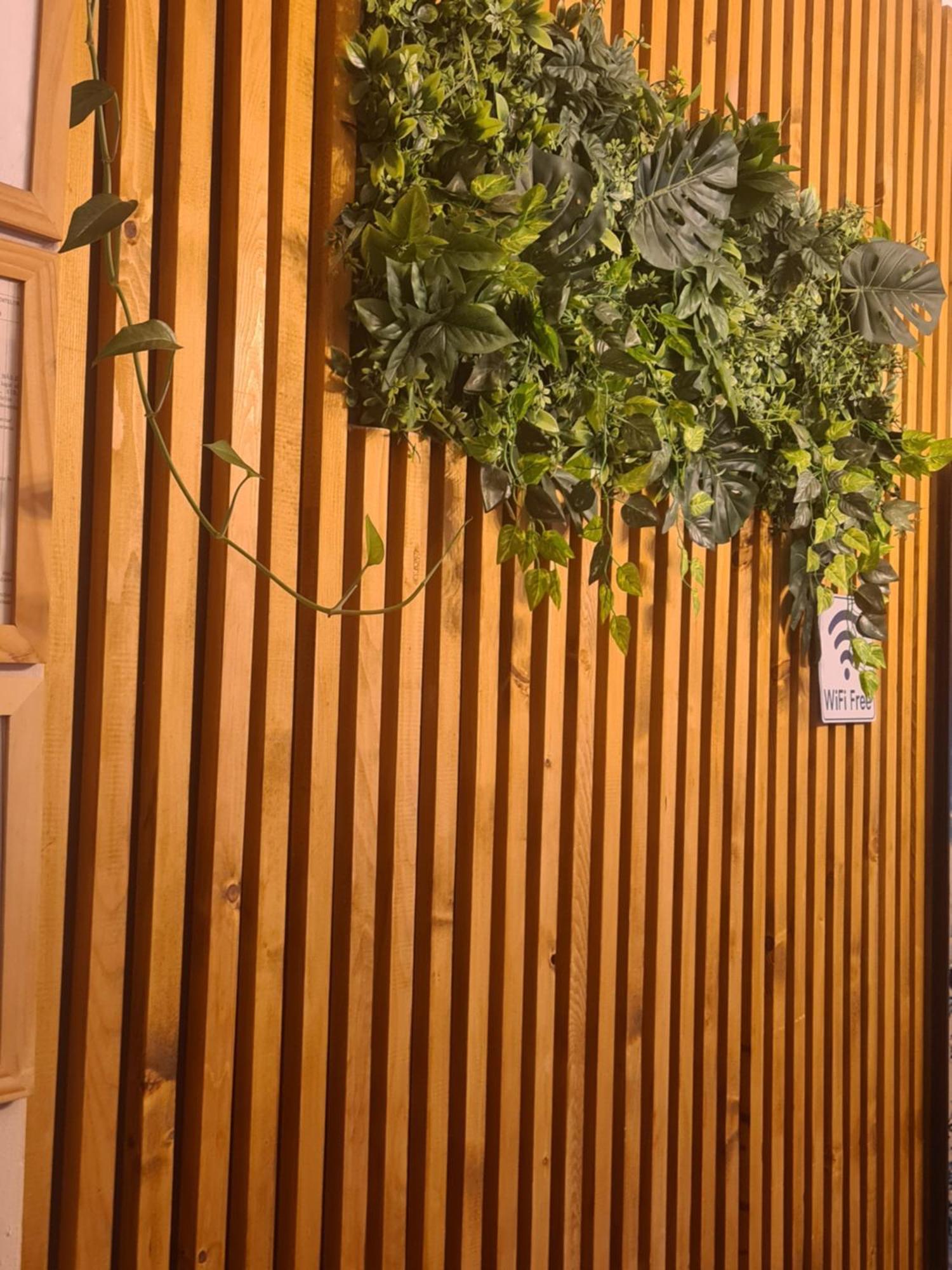 Guesthouse Magic 바일레헤르쿨라네 외부 사진